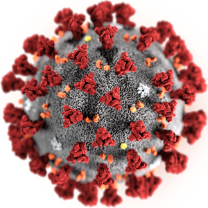 Bild Coronavirus © CDC/ Alissa Eckert, MS; Dan Higgins, MAM